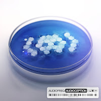 Drumz! (Extended Version) (Feat. Audiofreq)