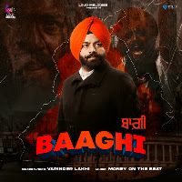 Baaghi
