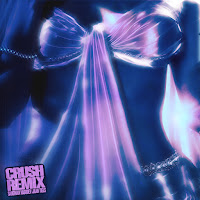 Crush (Vasudev Remix)