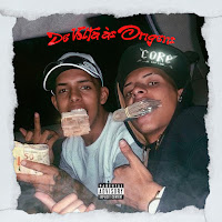 Foca Na Beleza Da Gata