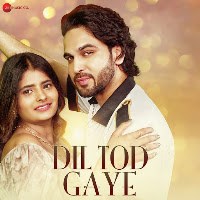 Dil Tod Gaye