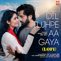 Dil Tujhpe Aa Gaya (Lofi)