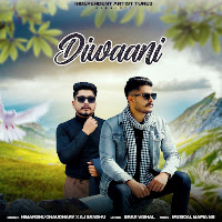 Diwaani
