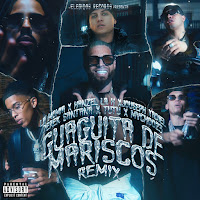 Guagüita De Mariscos - Remix (Feat. Jouseph Yadiel & Derek Santana)