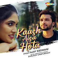 Kash Aisa Hota
