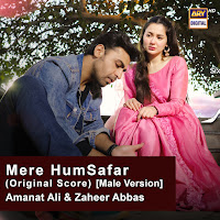 Mere Humsafar (Original Score) [Male Version]
