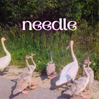 Needle