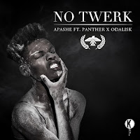 No Twerk Feat. Panther X Odalisk (Feat. Panther X Odalisk)