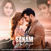 Sanam Aa Gaya
