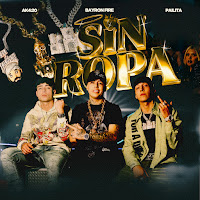 Sin Ropa