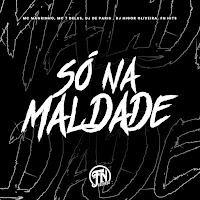 Só Na Maldade (Feat. Fn Hits)