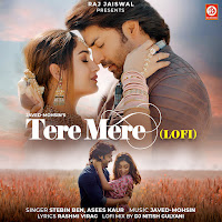 Tere Mere (Lofi)