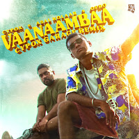 Vaanaambaa [Cypox Garage Remix] (Feat. Asal Kolaar & Ofro)