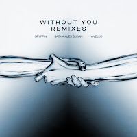 Without You (Dave Summer Remix) (Feat. Sasha Alex Sloan)
