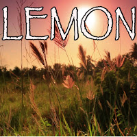 Lemon - Tribute To N.e.r.d And Rihanna