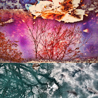 A Espiral De Bukowski