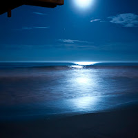 Beethoven Moonlight Sonata With Relaxing Nature Sounds