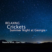 Night Time Forest Sounds