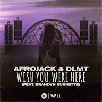 Afrojack, Dlmt
