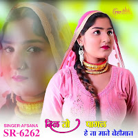 दिल तो पागल हे ना माने बेहीमान