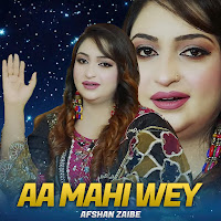 Afshan Zaibe