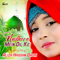 Aliza Hassan Qadri