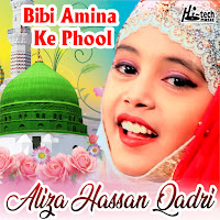 Aliza Hassan Qadri