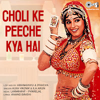 Choli Ke Peeche (Lofi Mix)