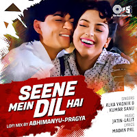 Seene Mein Dil Hai (Lofi Mix)
