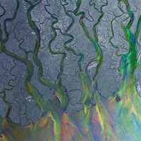 Alt-J