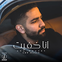 Amr Gaber