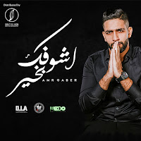 Amr Gaber
