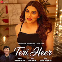 Teri Heer
