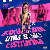 Ari Falcão, Dj Traka, Pipokando Fluxos