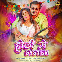 Holi Mein System