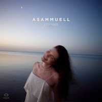 Asammuell