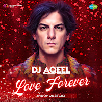 Rang De - Dj Aqeel Indo-House Mix