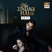 Asim Azhar, Sabri Sisters