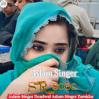 Aslam Singer Sr 8060