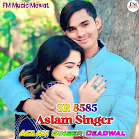 Aslam Singer Sr 8585