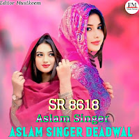 Aslam Singer Sr 8618