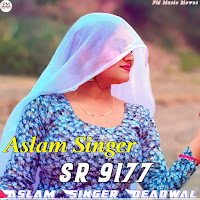 Aslam Singer Sr 9177