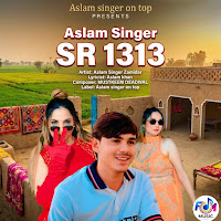 Aslam Singer Sr 1313