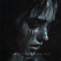 Say You Love Me