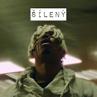 Šílený