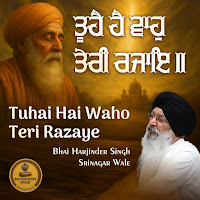 Bhai Harjinder Singh Ji Srinagarwale