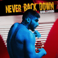 Never Back Down