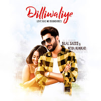 Dilliwaliye