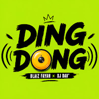 Blaiz Fayah, Dj Dav'
