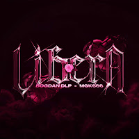 Libera